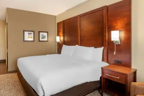 Comfort Inn & Suites Winchester - Zimmer