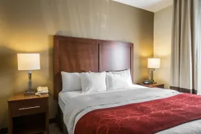 Quality Suites Morristown West - Chambre