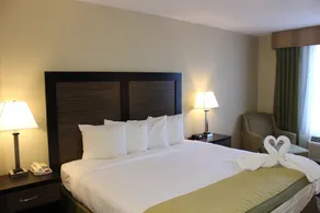 Baymont Inn & Suites by Wyndham Fort Myers I-75 - Chambre