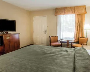 Quality Inn Reidsville Hwy 29 - Chambre