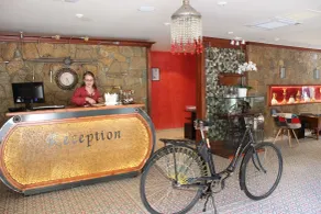 Kazdaglari Karye Müze Hotel - Reception