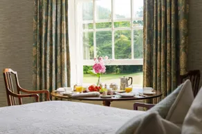 Dunbrody Country House Hotel - View from room
