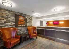 Red Roof Inn PLUS+ South Deerfield - Amherst - Reception
