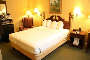 Senator Inn & Spa - Chambre