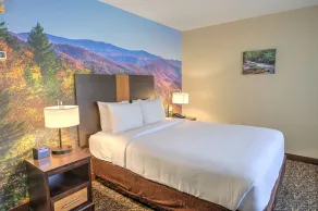 LeConte Hotel & Convention Center, an Ascend Collection Hotel - Quarto