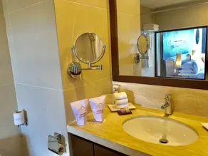 Hotel Annapurna View Sarangkot - Baño