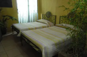 Casa Mestre Guesthouse - Chambre