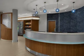 SpringHill Suites Houston Intercontinental Airport - Réception