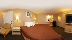 Rodeway Inn Apopka South - Habitación