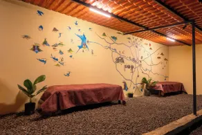 Aavaas Farm Hostel - Spa
