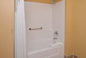 Country Inn & Suites by Radisson Benton Harbor-St Joseph MI - Salle de bain