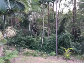 Mapleton Cabins & Caravan Park - Chambre