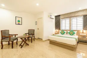 Treebo Skyline - Room