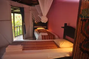 Hibiscus Valley Inn - View from room