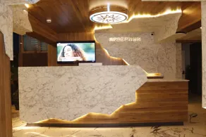 The Lavington Hotel - Reception