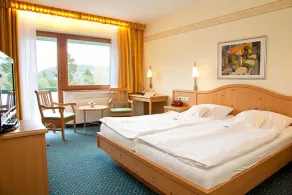 Wald Hotel Willingen - Camera