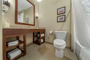 Comfort Suites Grand Island South - Salle de bain