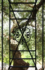 Masseria Sciaiani Piccola - Ausblick vom Zimmer