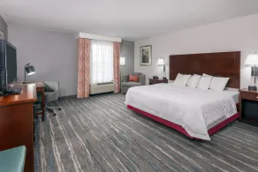 Hampton Inn & Suites Orlando Airport @ Gateway Village - Chambre