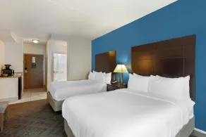 Comfort Inn & Suites Mundelein-Vernon Hills - Habitación