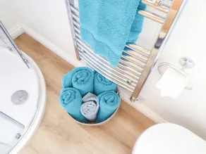 Gwithian Shepherds Hut - Bathroom