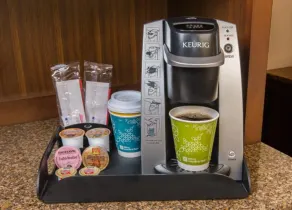 Hilton Garden Inn Sarasota - Bradenton Airport - Chambre