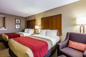 Comfort Inn & Suites Airport-American Way - Habitación