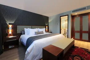 Wyndham Sao Paulo Ibirapuera Convention Plaza - Room