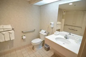 Hampton Inn Greeneville - Banheiro