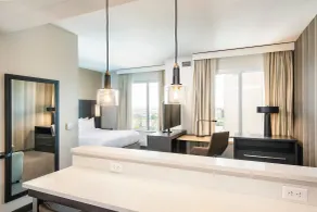 Residence Inn by Marriott Houston Medical Center/NRG Park - Room