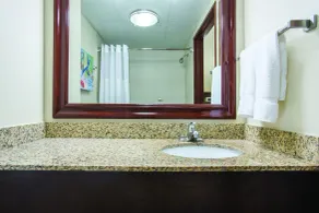 Comfort Inn & Suites Sarasota I75 - Salle de bain