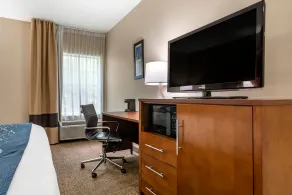Comfort Inn Birmingham - Irondale - Chambre