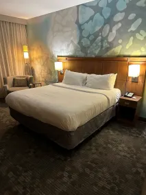 Courtyard by Marriott Asheville Airport - Chambre