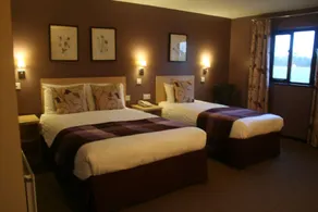 Yorkway Motel - Habitación