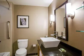 Cambria Hotel Rapid City near Mount Rushmore - Rom