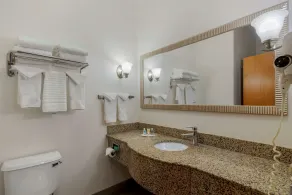 Comfort Suites Stockbridge Atlanta South - Chambre