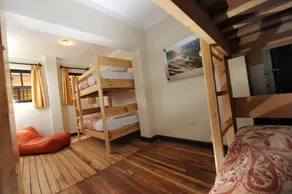 Bear Packer Hostel - Room