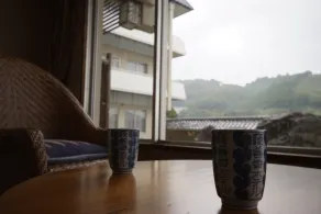 Breezbay Shuzenji Hotel - Vue de la chambre