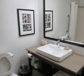 Country Inn & Suites by Radisson, Eagan, MN - Salle de bain