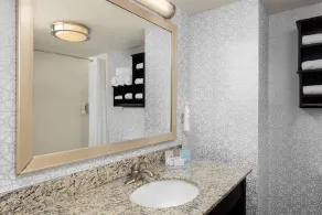Hampton Inn & Suites Douglas - Bathroom