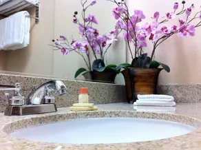 The Dixie Hollywood - Bathroom