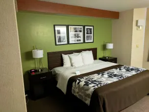 Sleep Inn & Suites Oregon - Toledo - Chambre