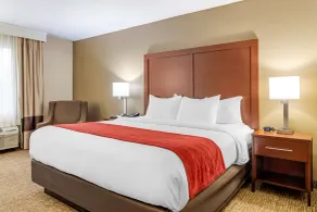 Comfort Inn & Suites Macon North I-75 - Chambre