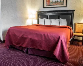 Quality Inn & Suites Gibsonia - Pittsburgh North - Chambre