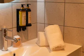 Best Western Terra Alta Perpignan Airport - Bagno
