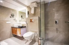 Yashshree Imperial - Bathroom