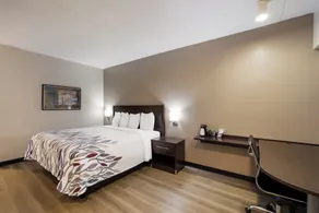 Red Roof Inn Tucson North - Marana - Chambre