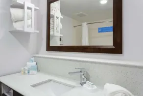 Hampton Inn & Suites Jacksonville / Orange Park - Salle de bain