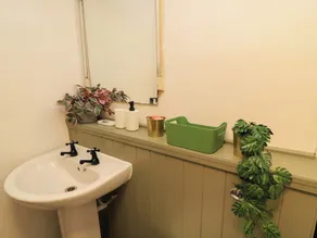 Burford Apple - Bad