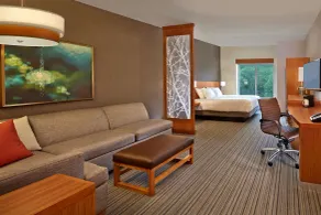 Hyatt Place Chapel Hill - Chambre